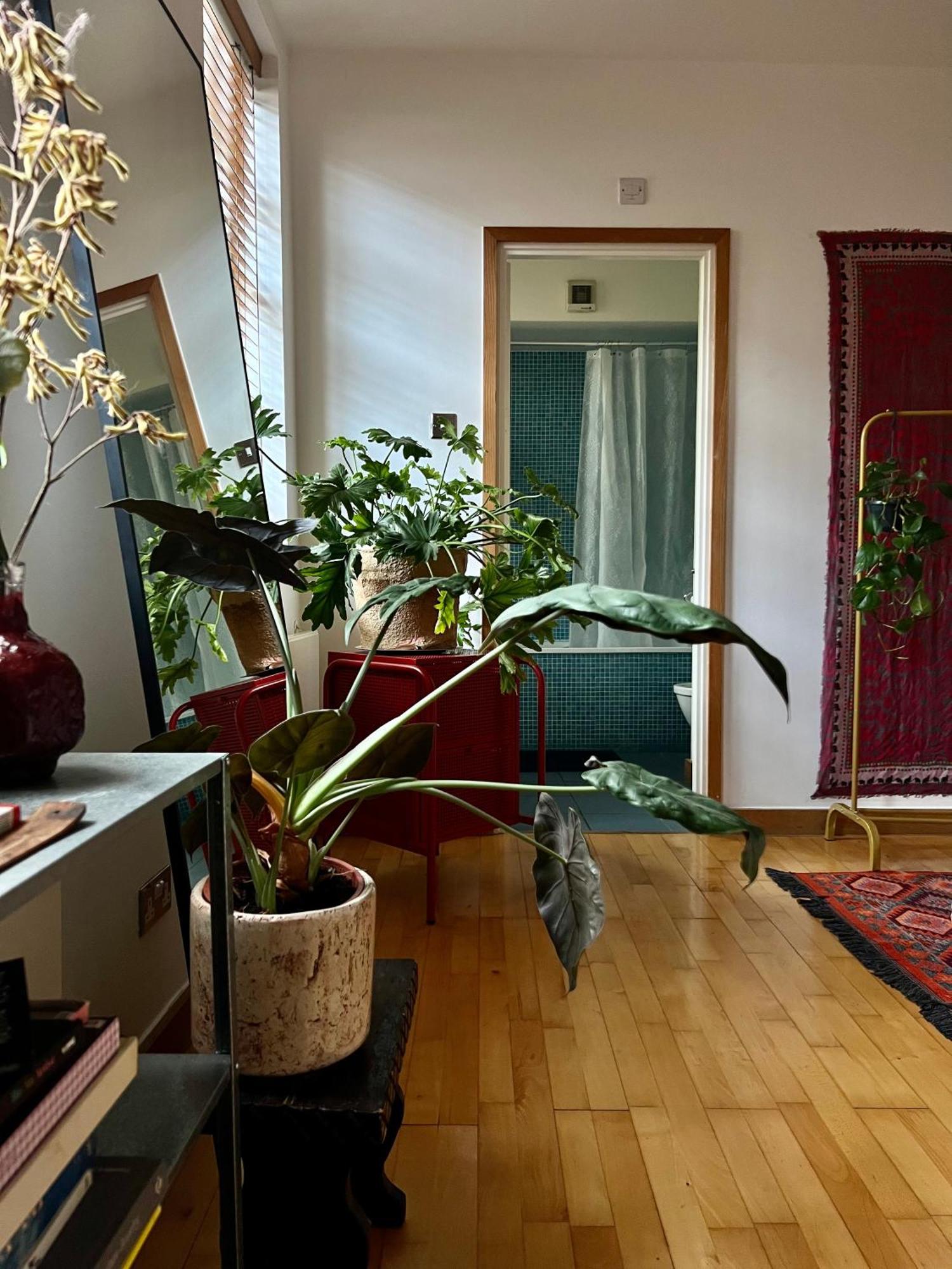 Huge Room For Recharge And Relaxation In Loft With Sauna In Central London Exterior foto